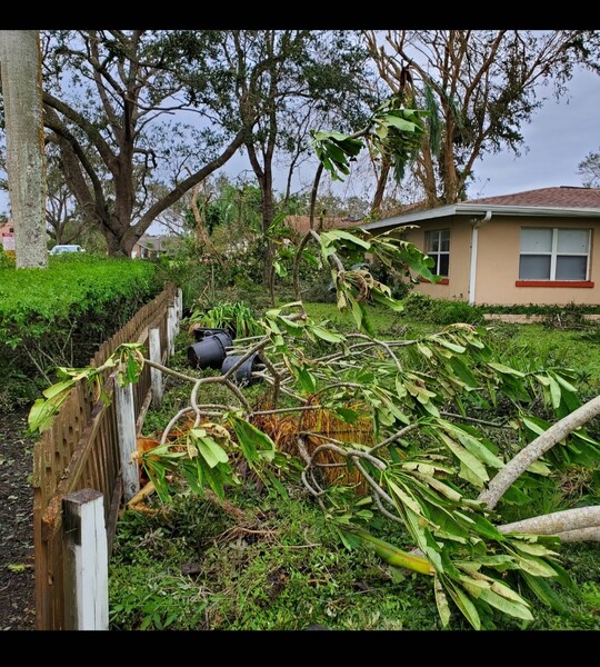 Hurricane Claims in Cape Coral, FL (3)